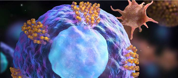 Harnessing platelets for targeted cell therapy